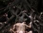 Antichrist - Lars VON TRIER