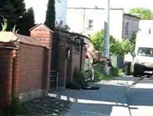 Drastyczny film: łoś skonał na płocie