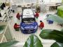 Dacia lodgy glace 