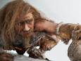 Geny naszych przodków. W roku 2010 udało się odkryć, że Europejczycy i Azjaci odziedziczyli po neandertalczykach 2 do 6 proc. DNA zawartego w jądrze komórkowym. Teraz wykazano, że krzyżowanie się Homo sapiens z bardziej archaicznymi praludźmi miało miejsce wielokrotnie i w różnych populacjach. Archaicznym genom zawdzięczamy między innymi większą odporność na choroby. W roku 2011 odkryto także szczątki gatunku Australopitecus sediba sprzed dwóch milionów lat, który mógł być naszym przodkiem.