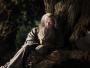Hobbit: Niezwykła podróż (Ian McKellen jako Gandalf)