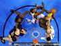 Lakers pożegnali się z play off ligi NBA. Thunder grają dalej