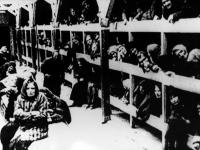 Mija 70 lat od wyzwolenia obozu Auschwitz- Birkenau. Relacja LIVE z obchodów