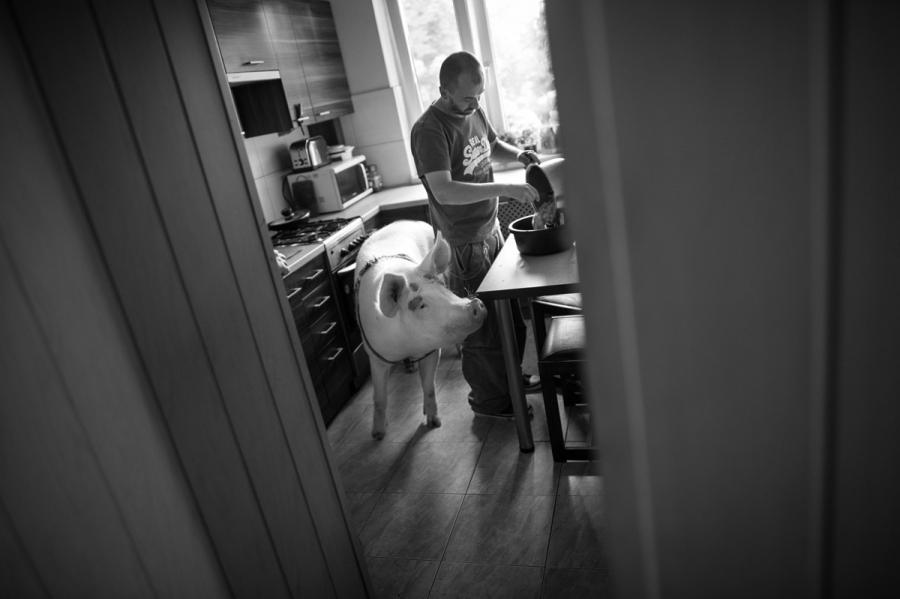 Grand Press Photo 2016 / Jacek Turczyk, Polska Agencja Prasowa